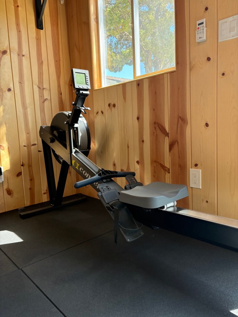 Concept2 RowErg rowing machine in the gym