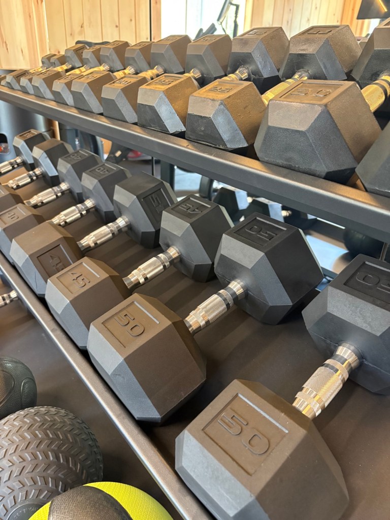 CAP rubber-coated hex dumbbells on the rack in the gym
