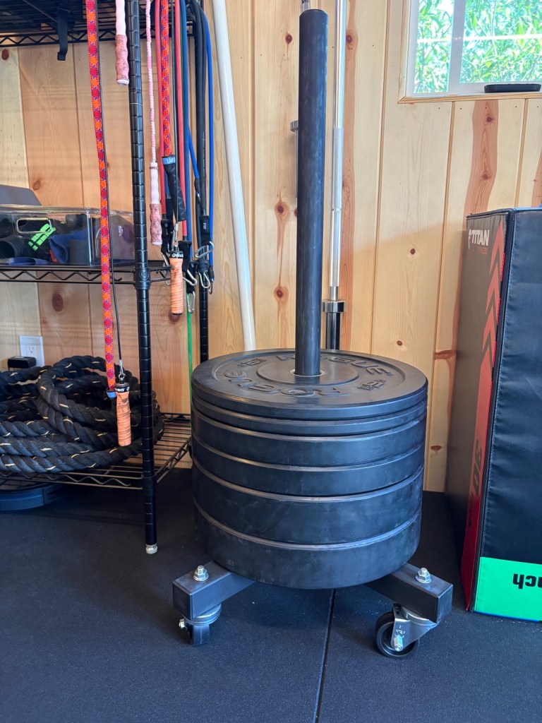 Rogue bumper plate stacker with plates in the gym