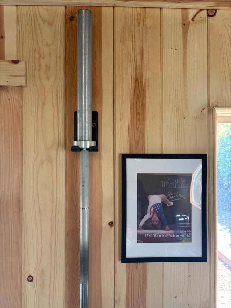Barbell holder with bumper plates in the gym