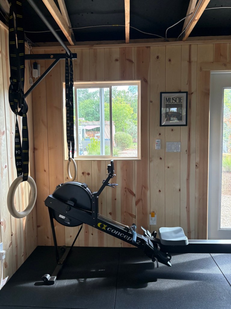 Rings and TRX straps hanging from the pull-up bar